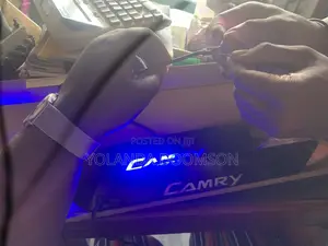 Camry Step Door Light