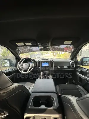Ford F-150 2018 Gray