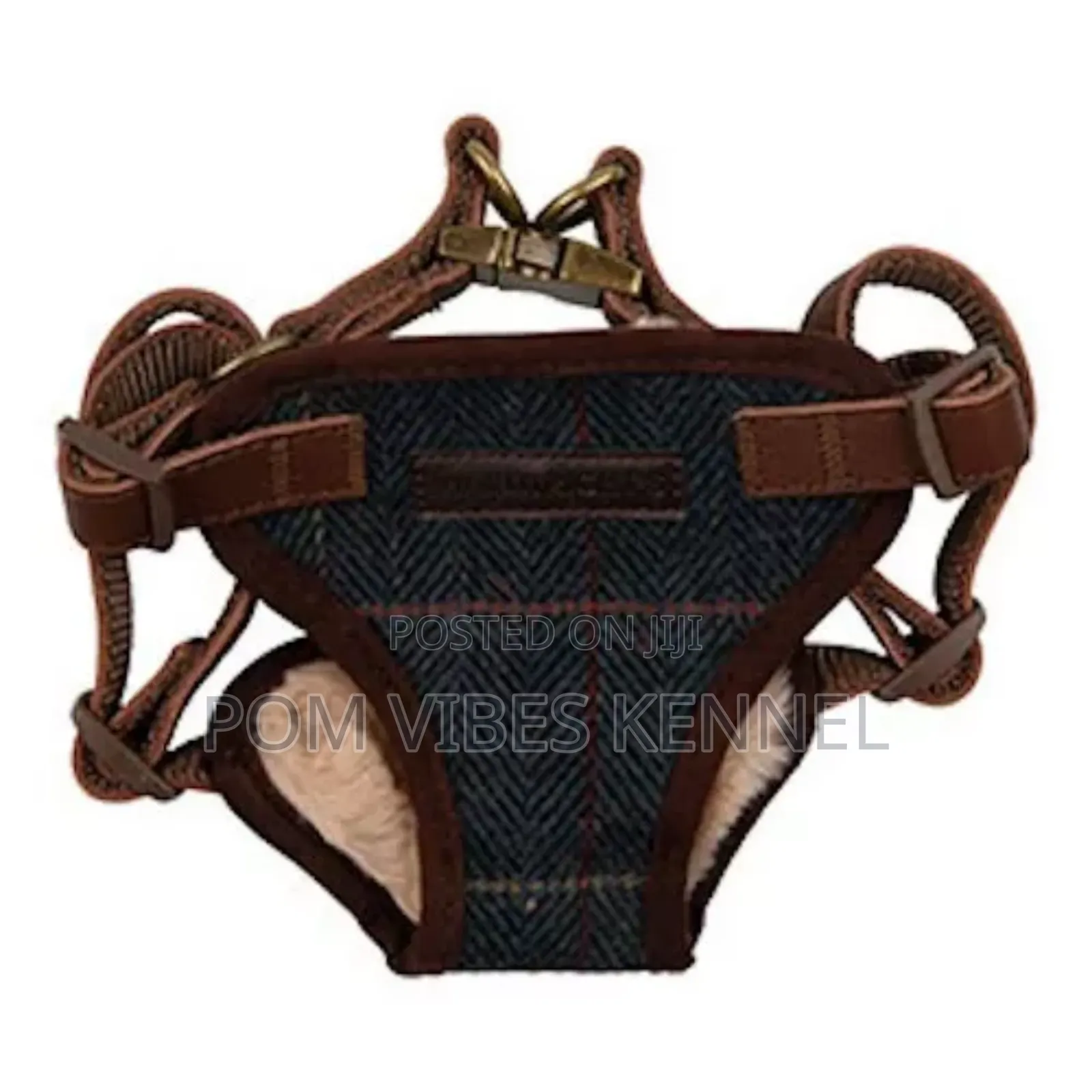 Dog Harness