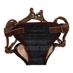 Dog Harness