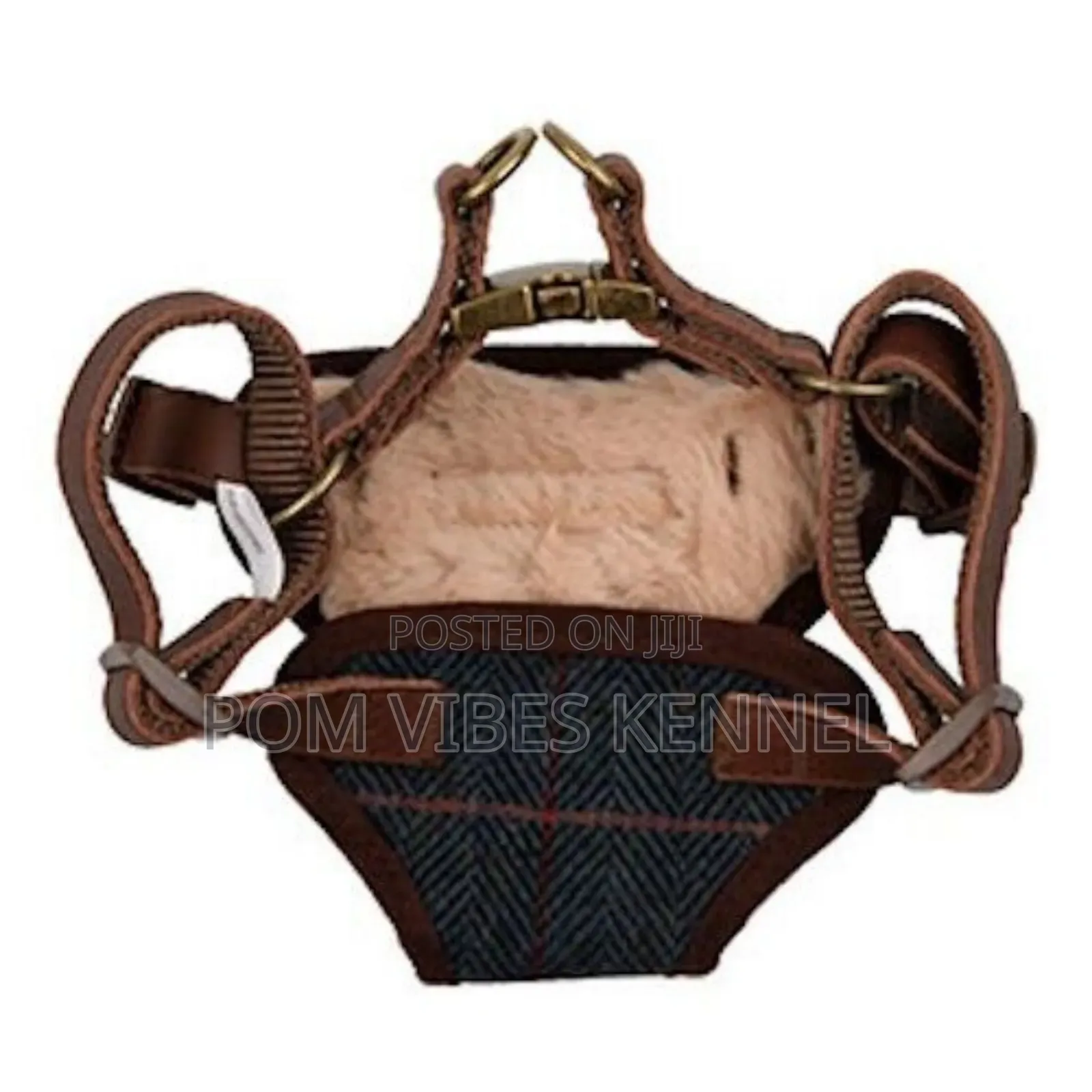 Dog Harness