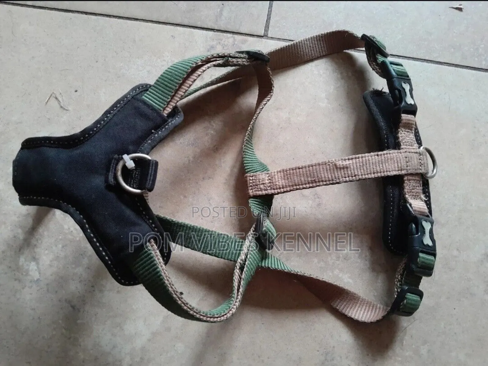 Dog Harness