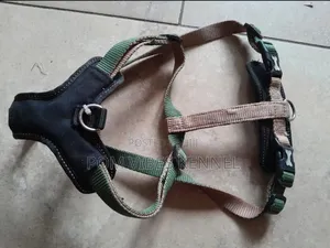 Dog Harness
