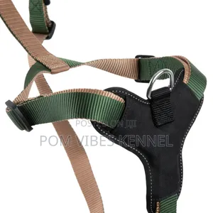 Dog Harness
