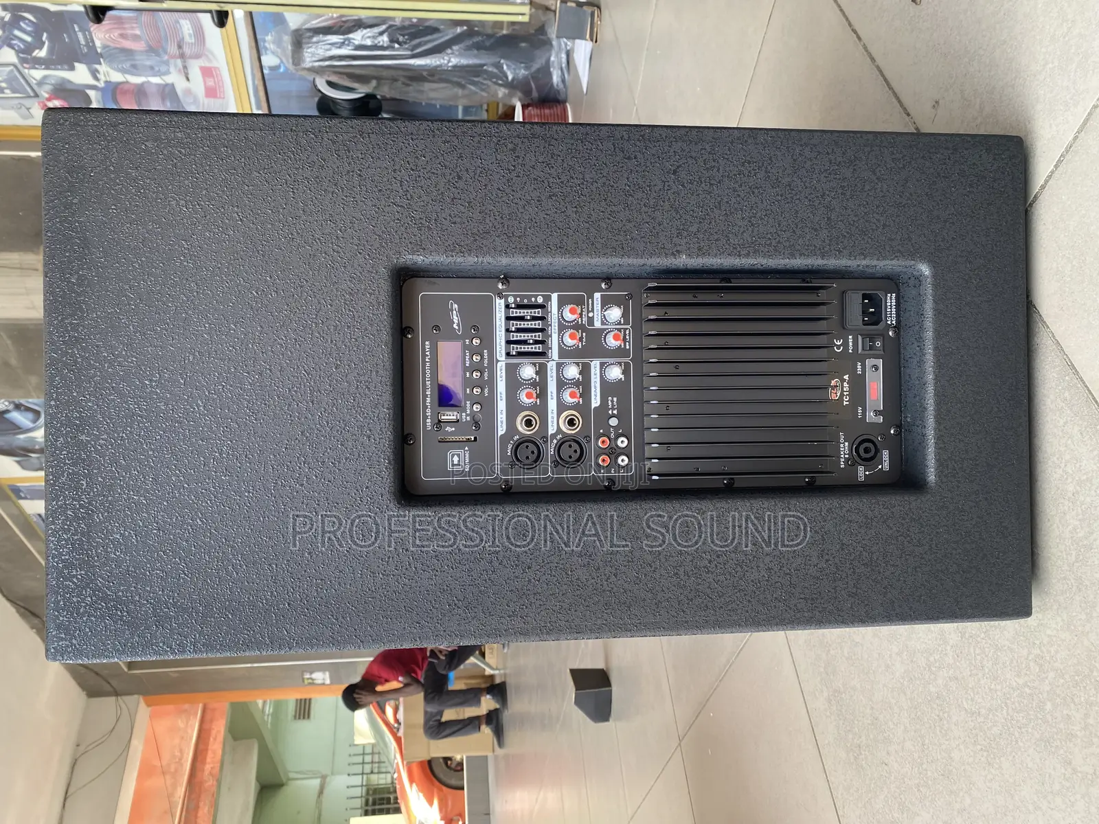 Active Speaker 15”