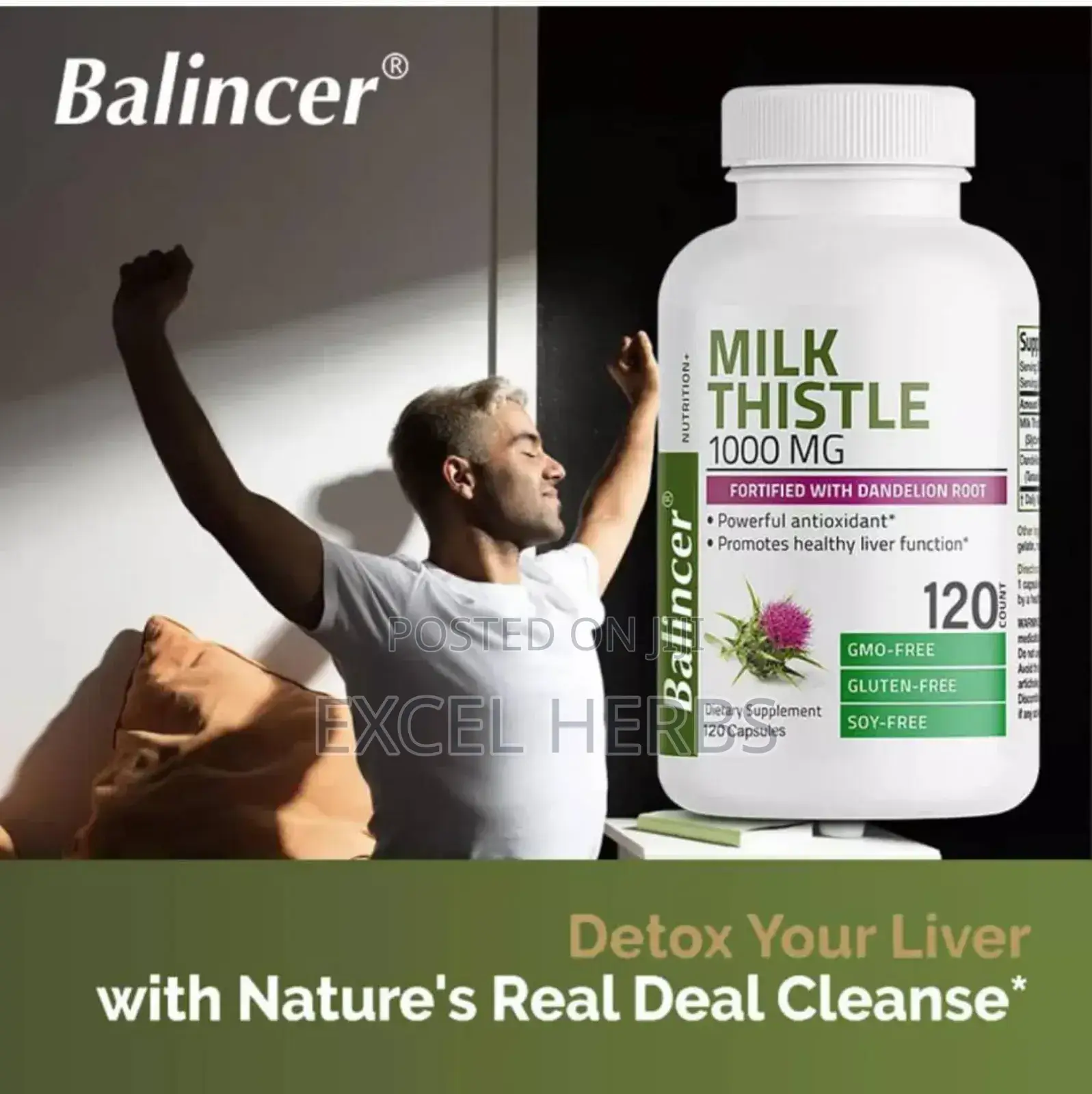 Milk Thistle Seed 1000mg Capsules, Maintain Health Liver Fun