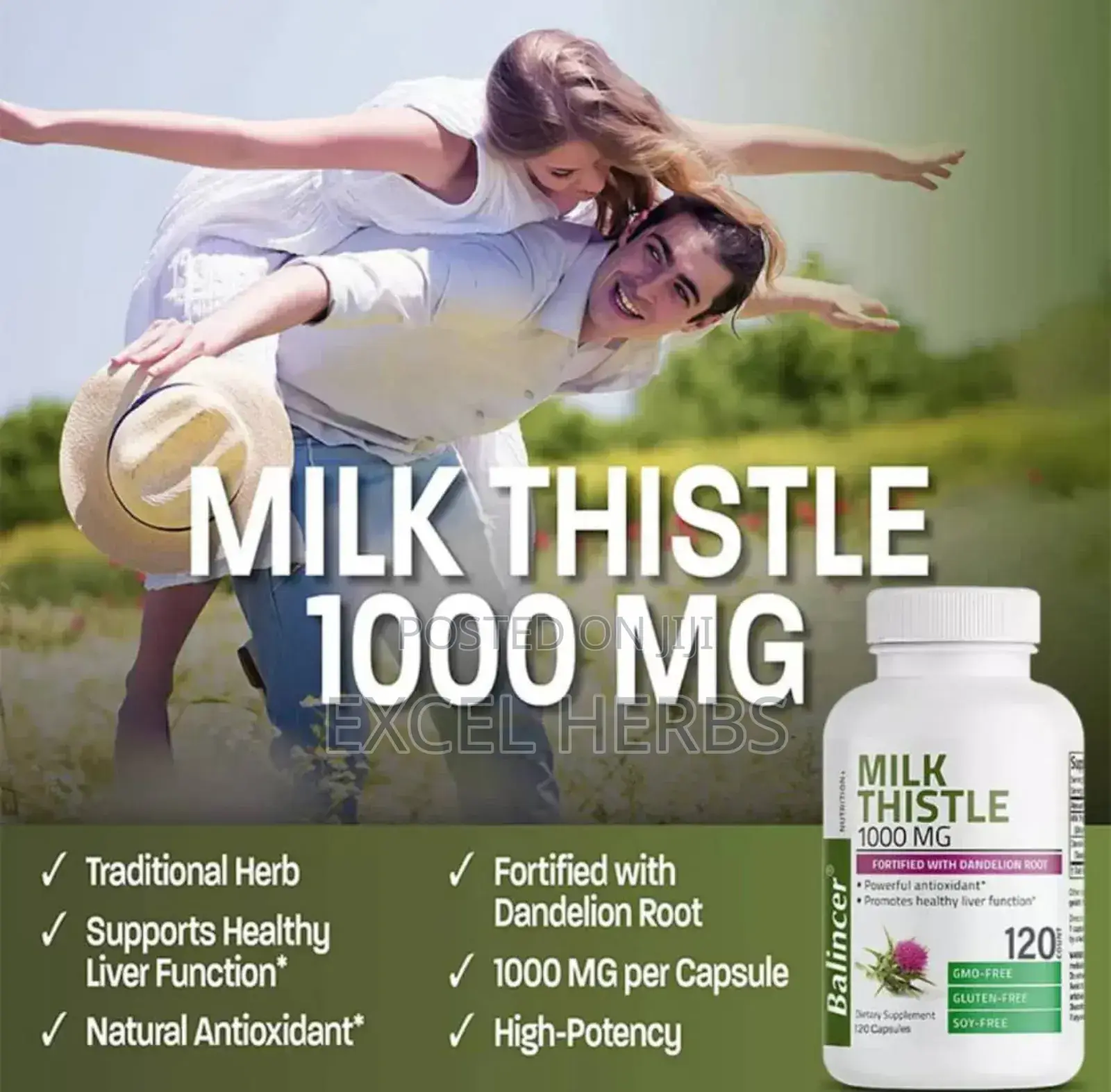 Milk Thistle Seed 1000mg Capsules, Maintain Health Liver Fun