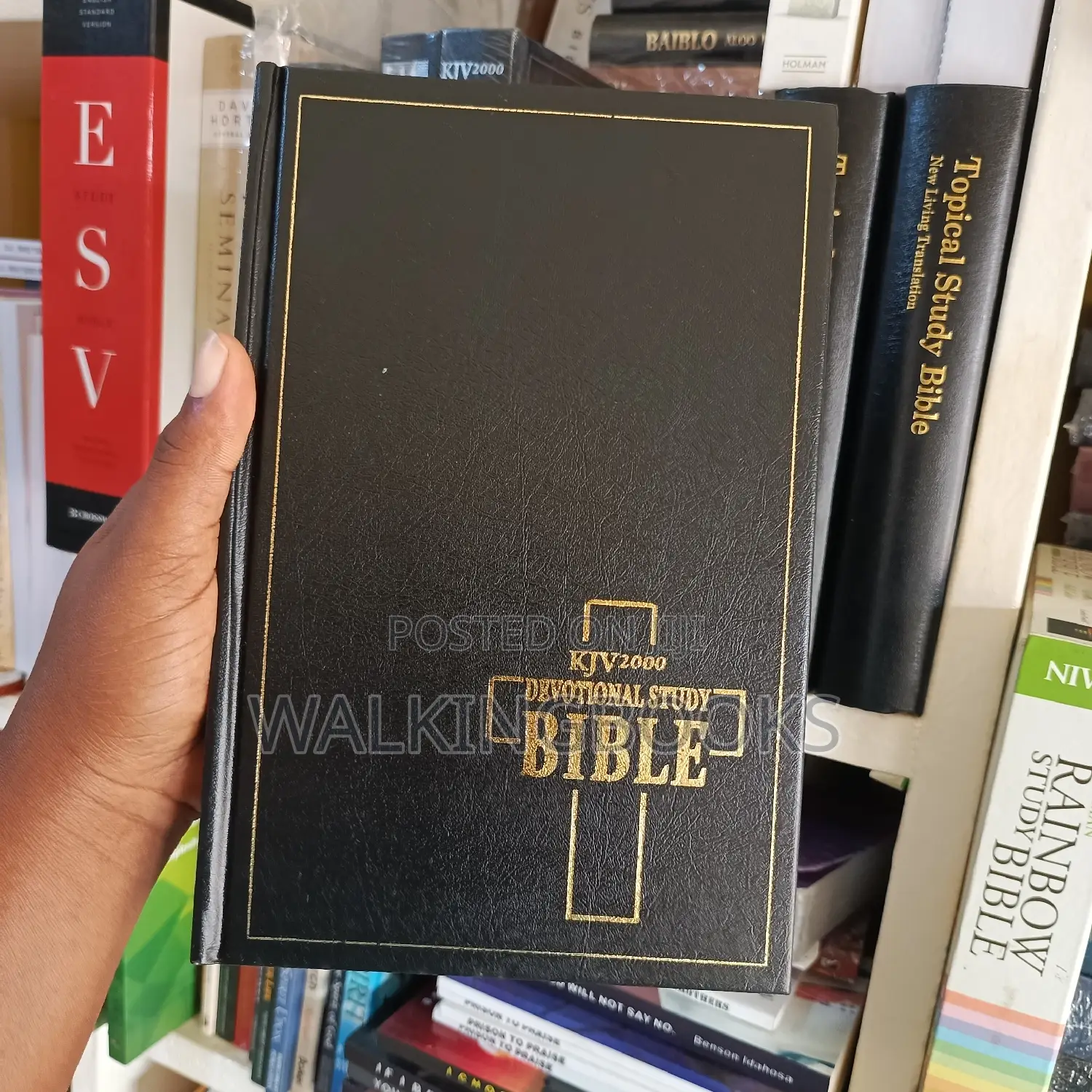 KJV Devotional Study Bible
