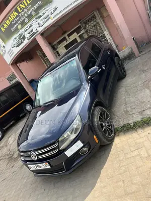 Volkswagen Tiguan 2014 Blue