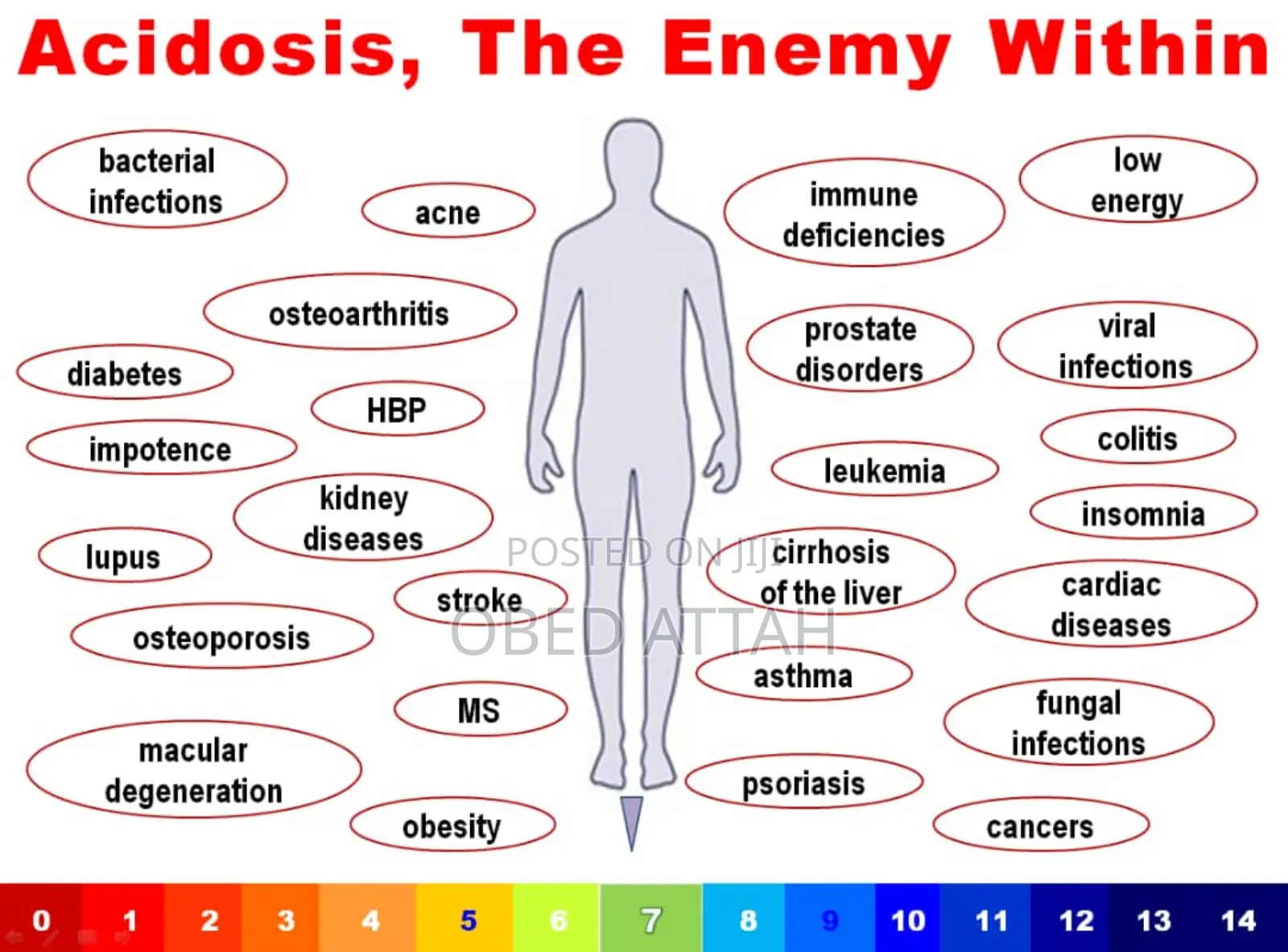Immuno Boost