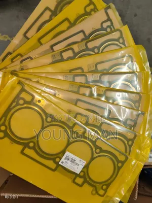 Hyundai Elantra, Sonata, Accent, Santafe, Kia Head Gasket