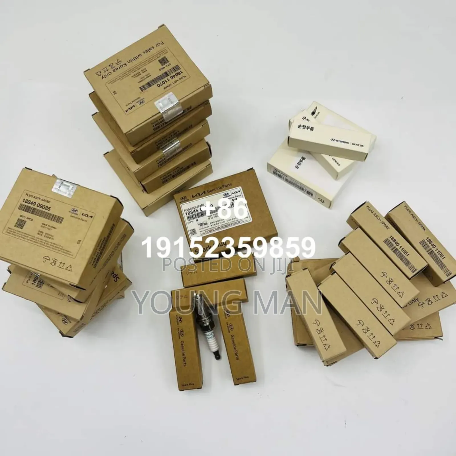 Hyundai Elantra, Santafe, Sonata, Accent, Original Plugs