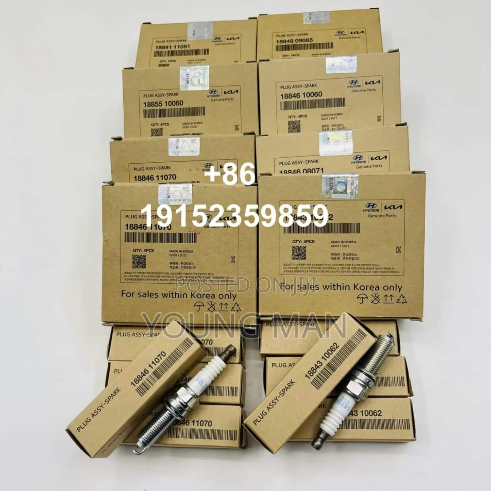 Hyundai Elantra, Santafe, Sonata, Accent, Original Plugs