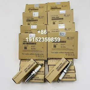 Hyundai Elantra, Santafe, Sonata, Accent, Original Plugs