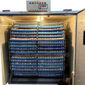 Bring Your Fertile Eggs for Hatching(98%) Hatching Rate