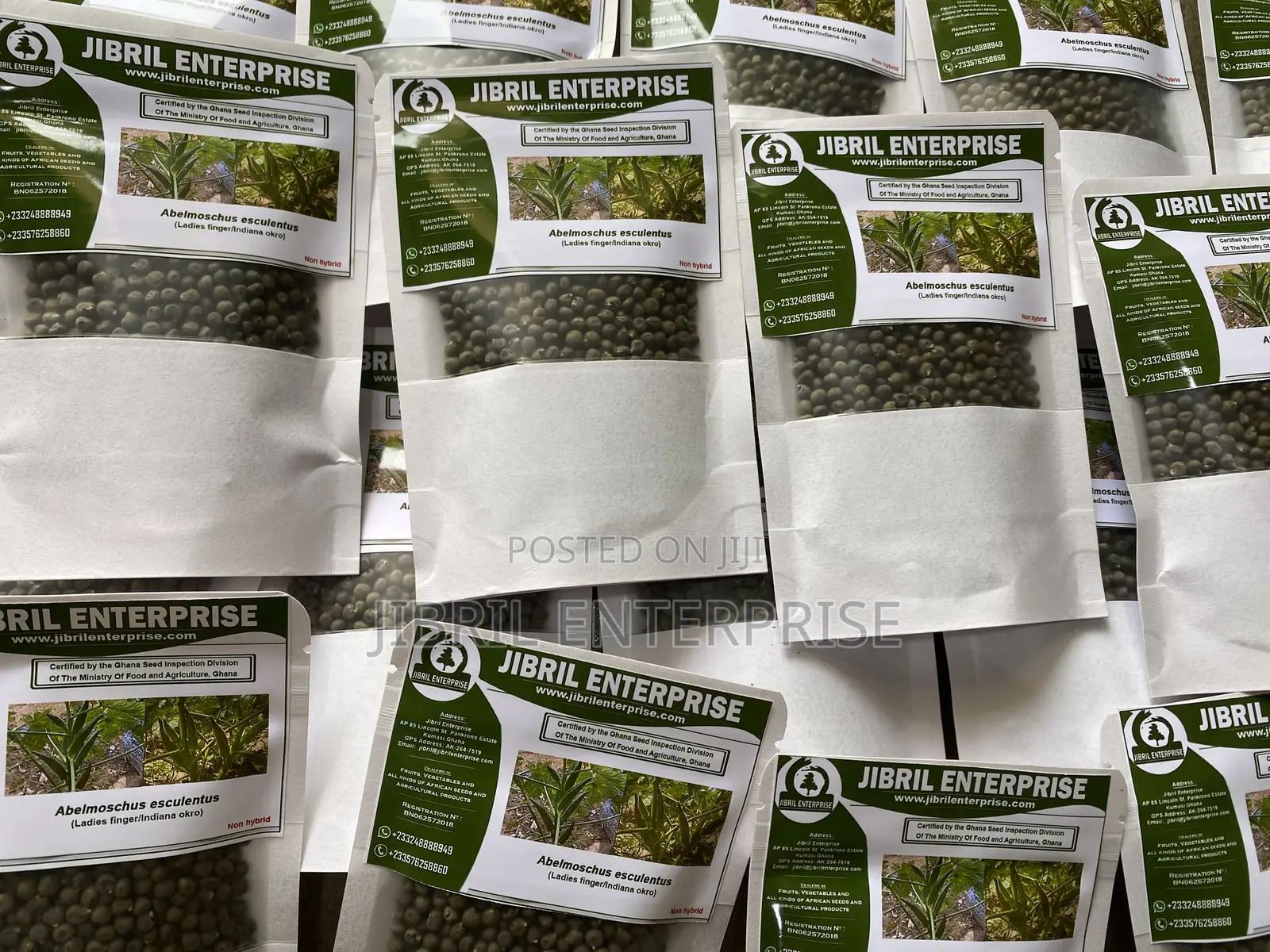 40 Days Certified Ladies Finger/Indiana Okro, Non Hybrid