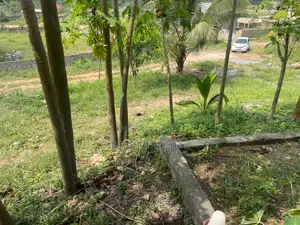Photo - Two Bedroom Uncompleted for Sale Around Catapor Going