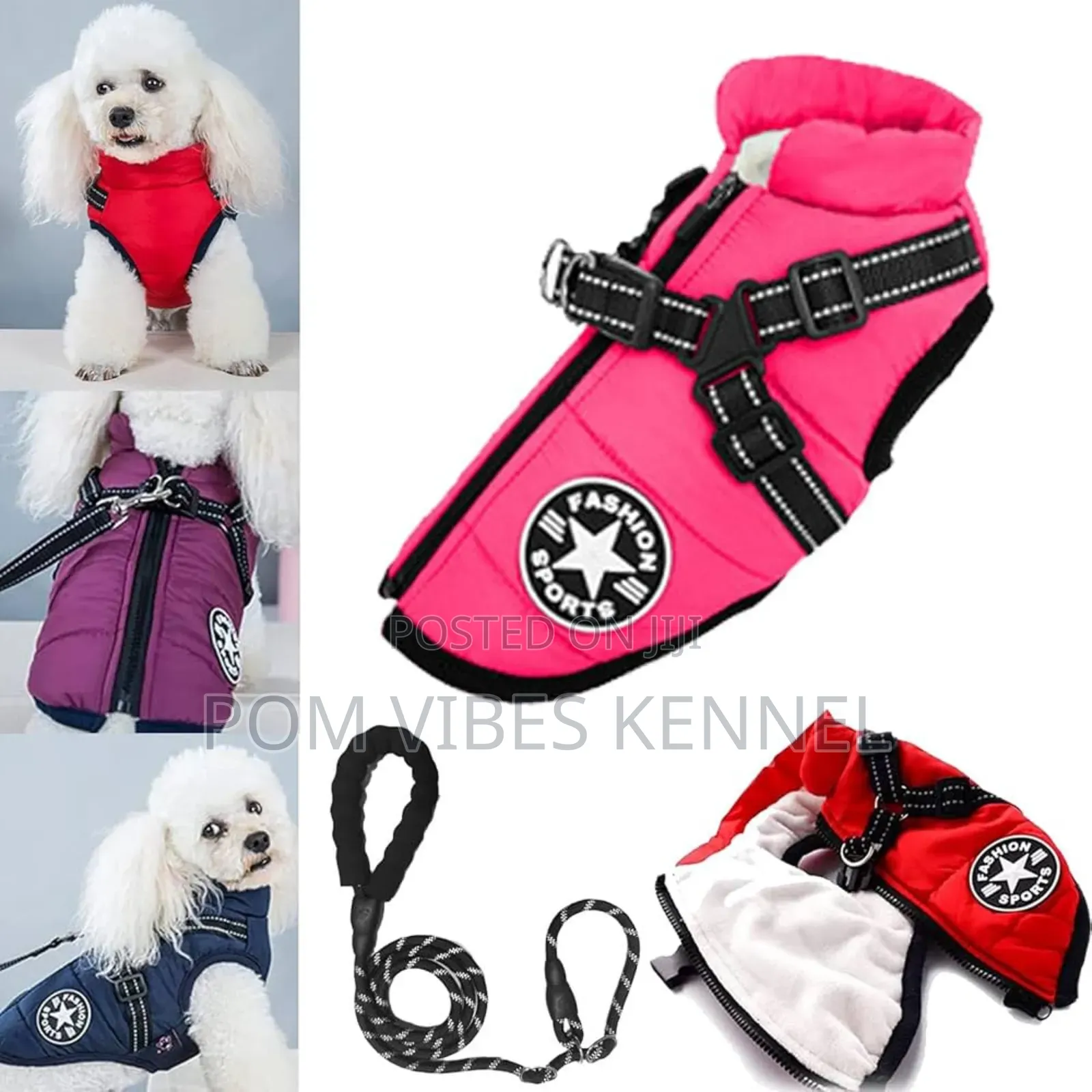 Jackets for Toy Dogs