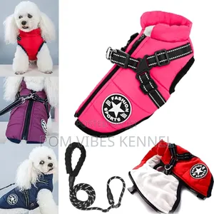 Jackets for Toy Dogs