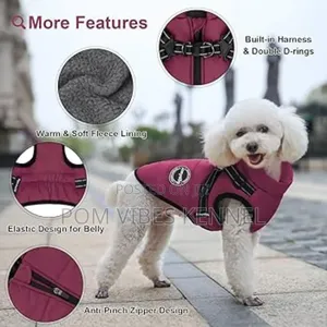 Jackets for Toy Dogs