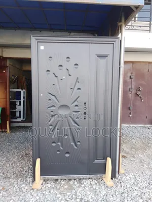 Quality Black China Security Door With Accessories