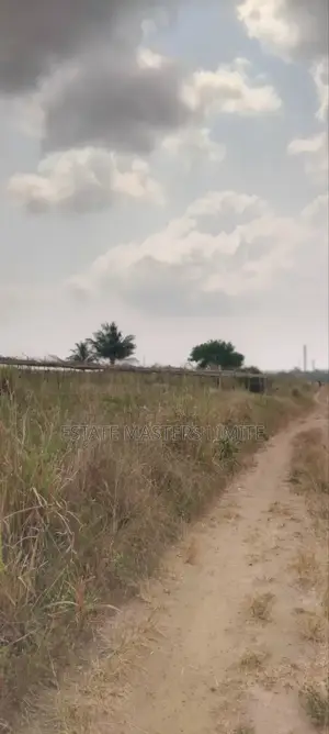 Crown Your Hustle With One Plot of Land for Sale