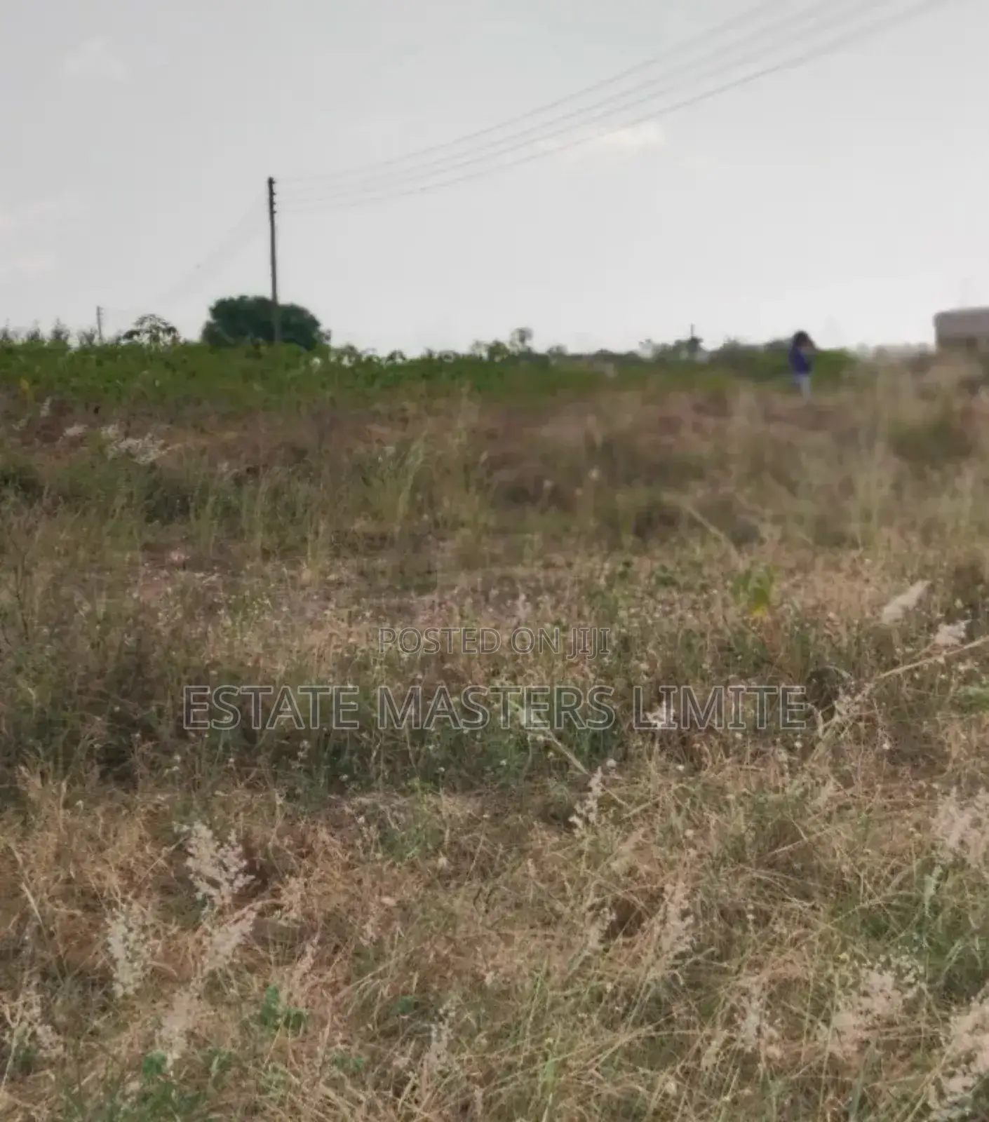 Acres of Lands Available for Sale at Dominase