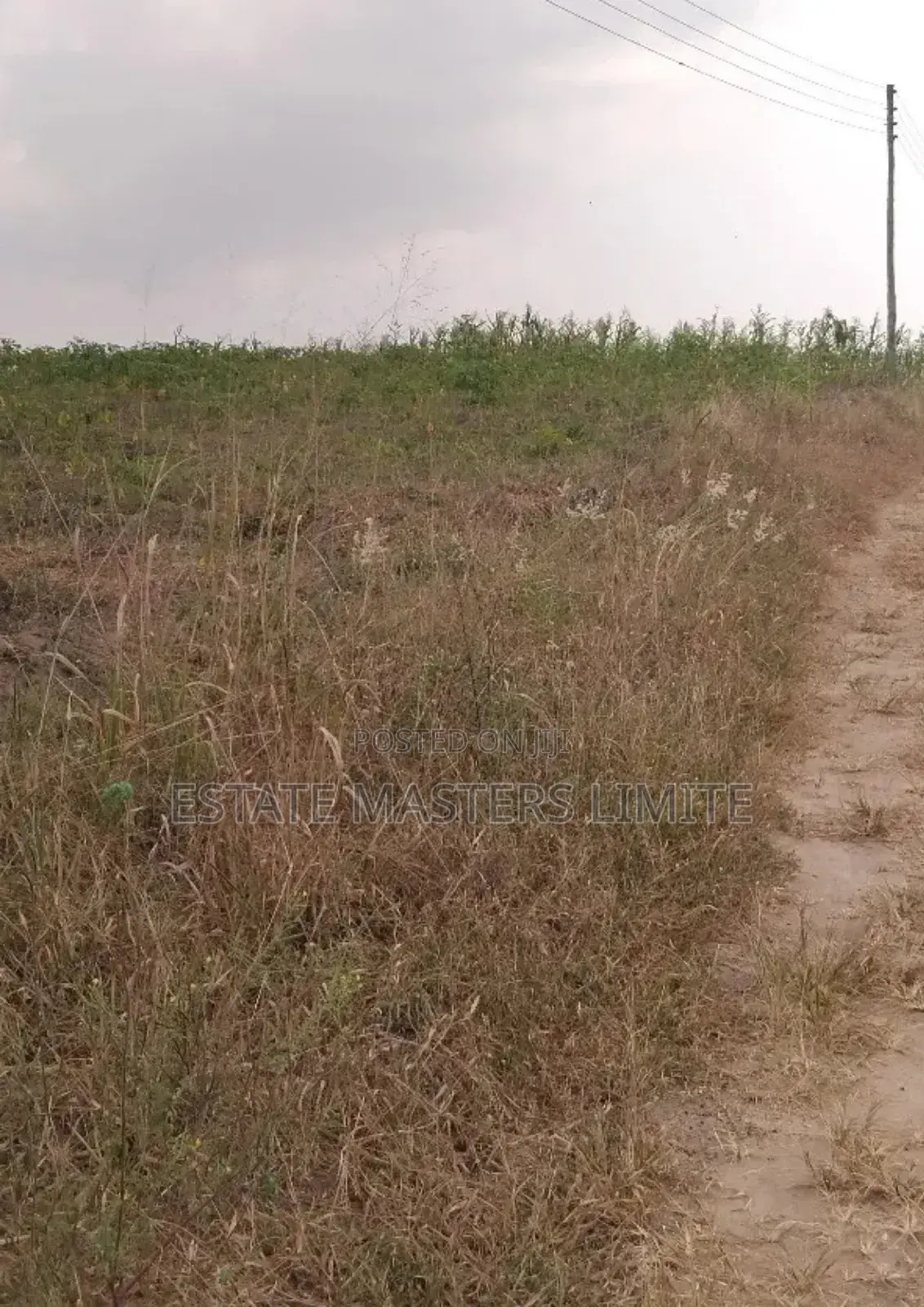 Acres of Lands Available for Sale at Dominase