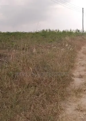 Acres of Lands Available for Sale at Dominase