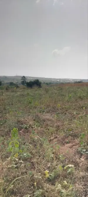 Free Zone Land for Sale