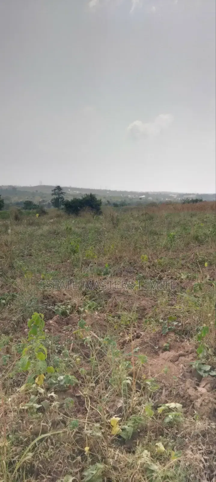 Free Zone Land for Sale