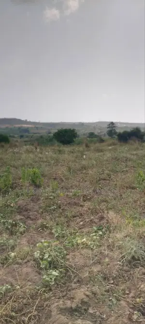 Free Zone Land for Sale