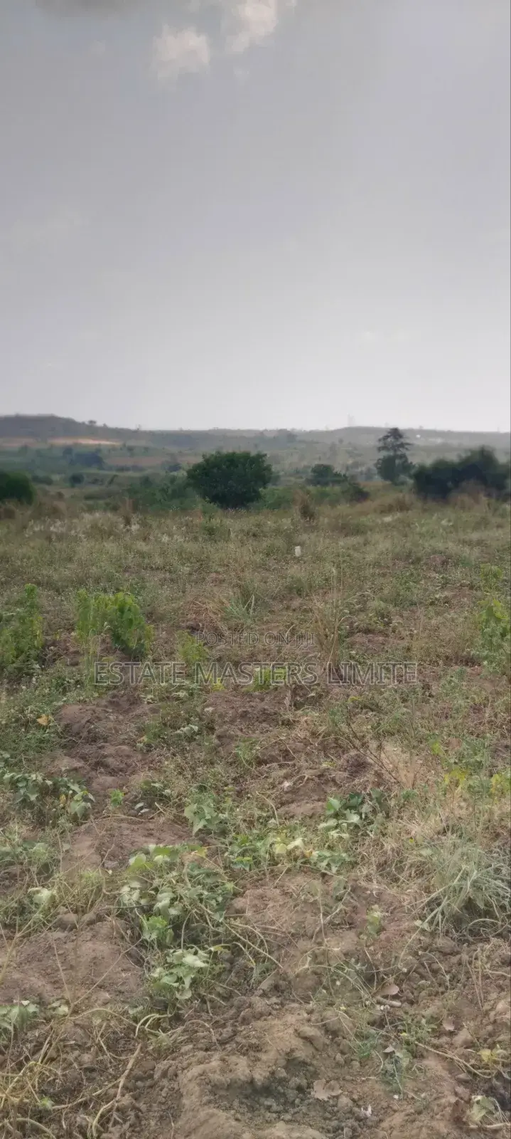 Free Zone Land for Sale