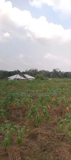 Valley View Plots of Land for Sale