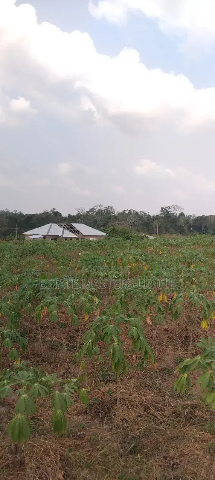 Valley View Plots of Land for Sale