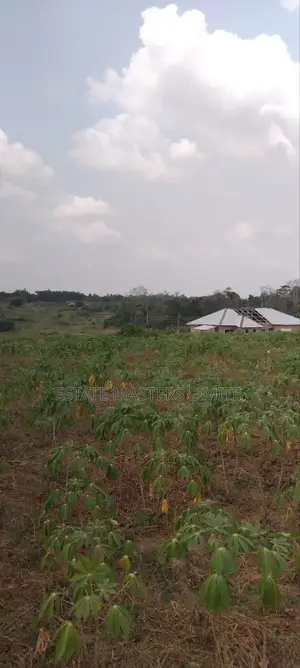 Valley View Plots of Land for Sale