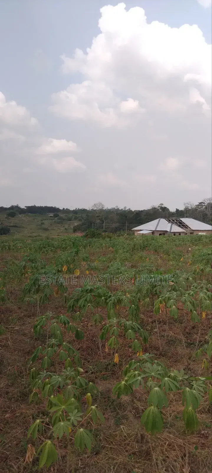 Valley View Plots of Land for Sale