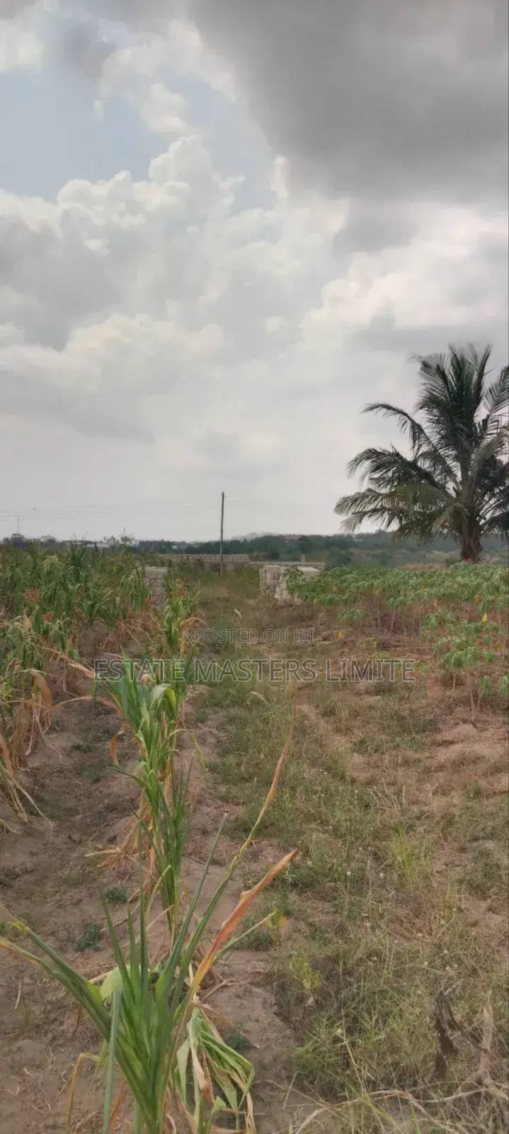 Flat Lands for Sale