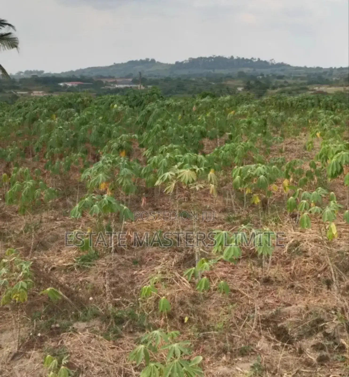 Sokoo! Lands Available for Sale at Dominase