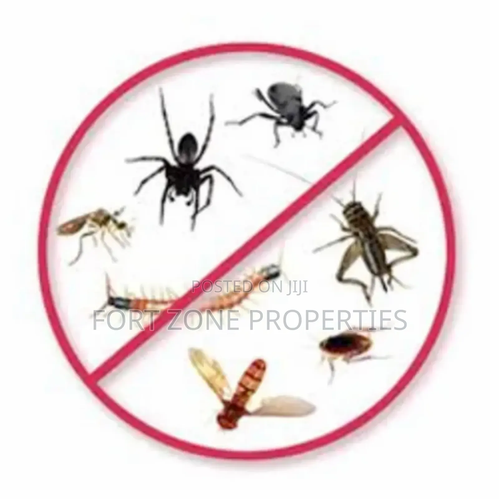 Easy Pest Control and Cleaning With Cleantex
