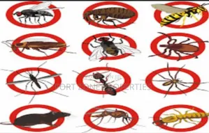 Easy Pest Control and Cleaning With Cleantex