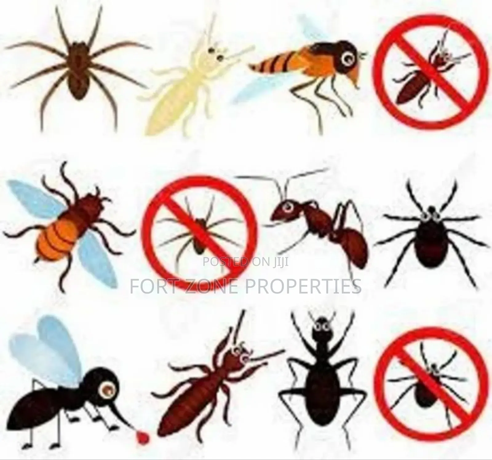 Easy Pest Control and Cleaning With Cleantex