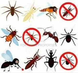 Easy Pest Control and Cleaning With Cleantex