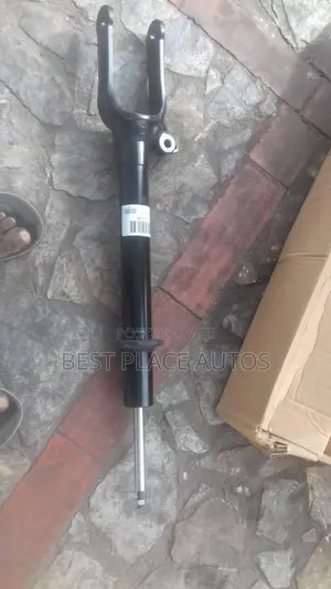 ML350 W164 Shocks