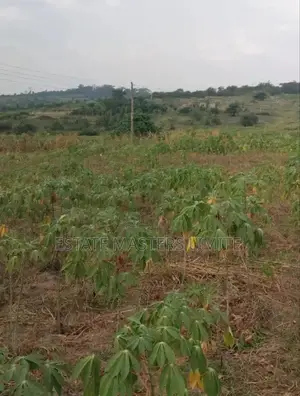 Donkomi Oo Acres if Lands for Sale at Gomoa Dominase