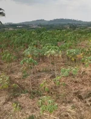 Donkomi Oo Acres if Lands for Sale at Gomoa Dominase
