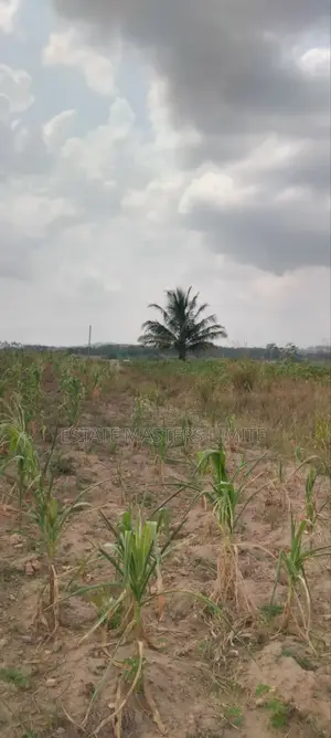 Acres of Asaase Available for Sale at Gomoa East Dominase