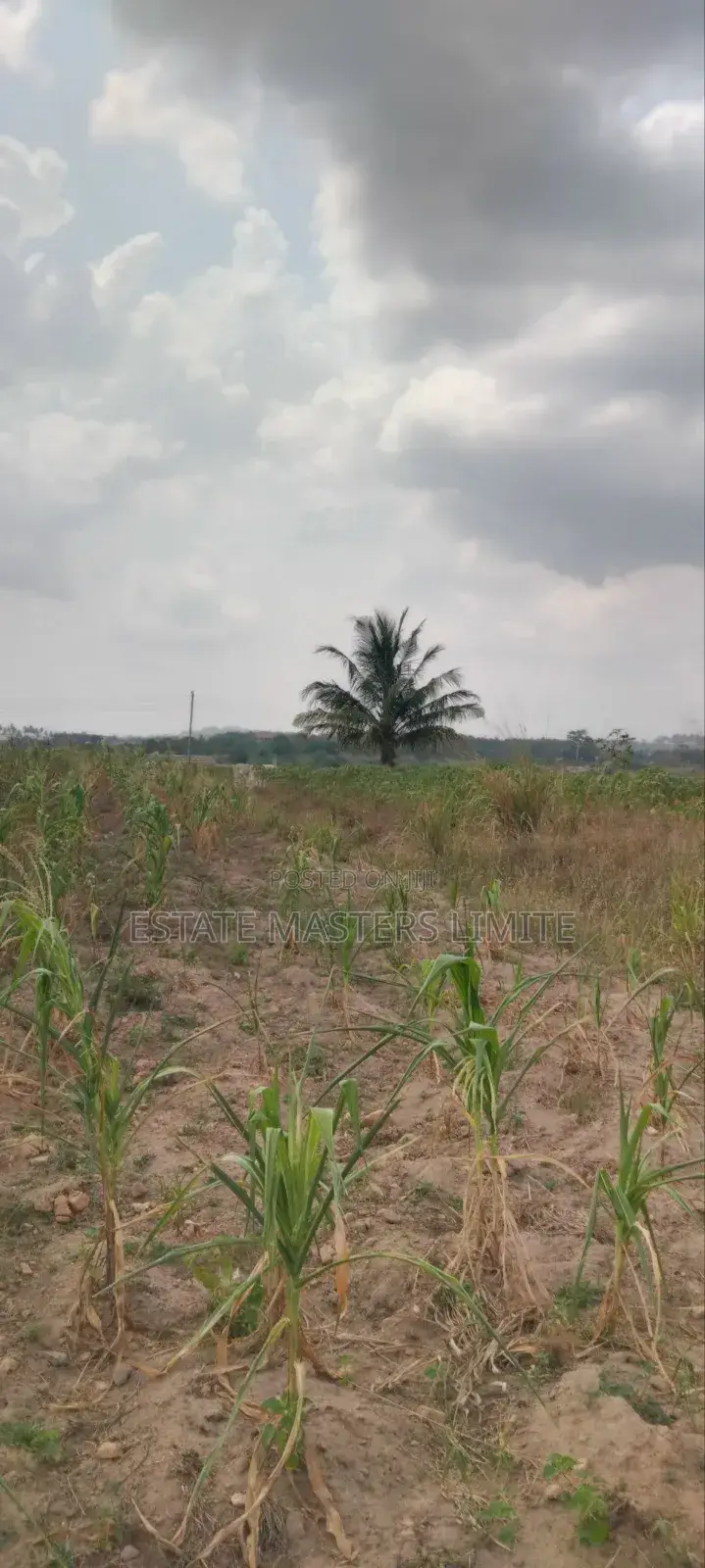 Acres of Asaase Available for Sale at Gomoa East Dominase