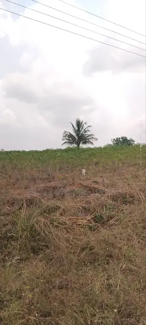 Acres of Asaase Available for Sale at Gomoa East Dominase