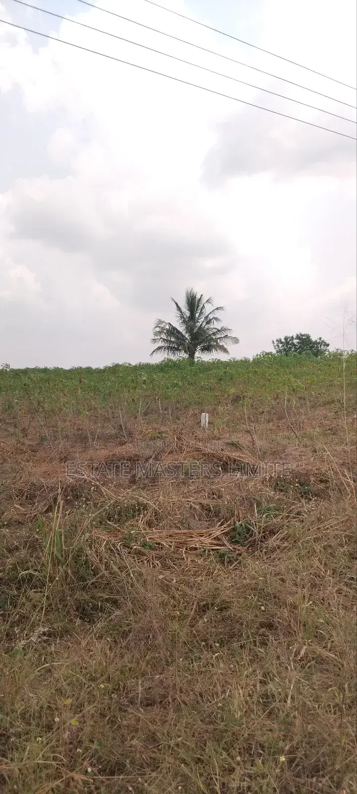 Acres of Asaase Available for Sale at Gomoa East Dominase